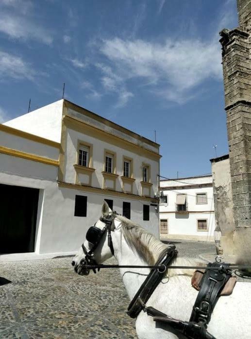 Azafran Jerez Apartamentos Jerez de la Frontera Exterior photo